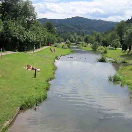 Vitalis Apartment Muszyna