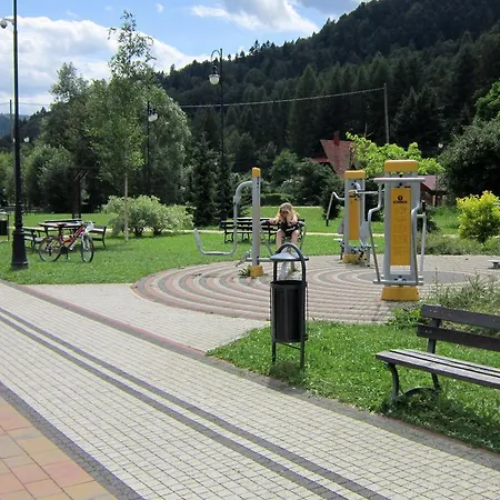 Apartment Vitalis Muszyna